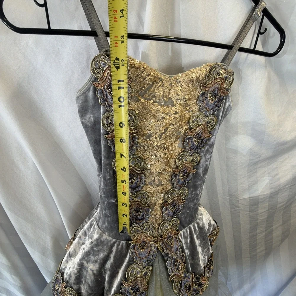 Revolution Dance Ballet Dress Women Small Grey Crush‎ Velvet Embroidered RC20959